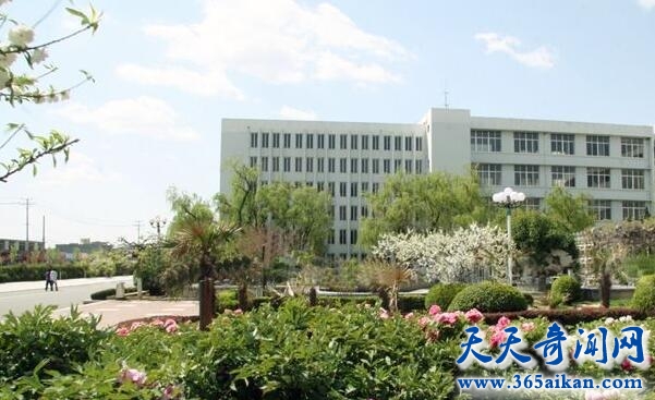 山东科技大学泰山科技学院