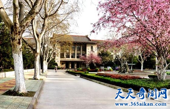 安徽农业大学是几本？安徽农业大学怎么样？