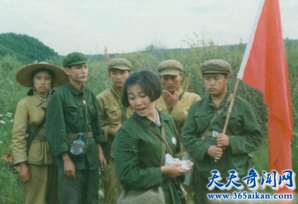 年轮.jpg