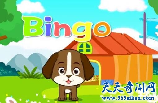 《Bingo》1.jpg