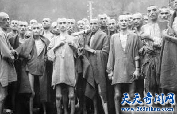 希特勒为什么杀犹太人2.jpg