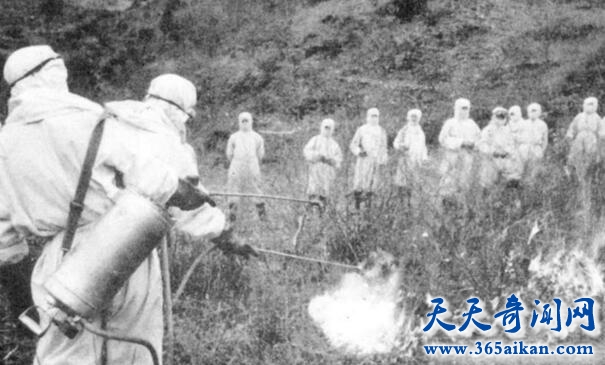 抗美援朝中最残酷的战争，怎么反抗细菌战争