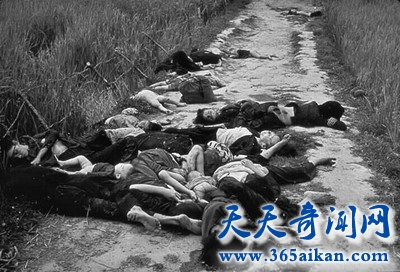 揭秘越战中美军的大屠杀事件，美莱村惨案揭秘美军的残忍暴行！