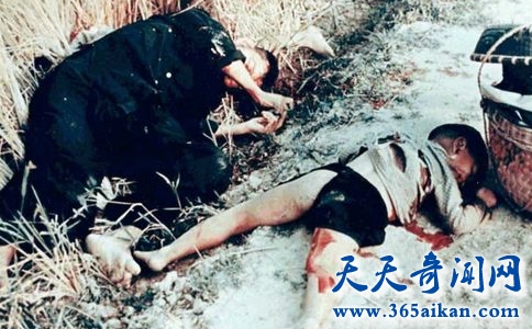 揭秘越战中美军的大屠杀事件，美莱村惨案揭秘美军的残忍暴行！