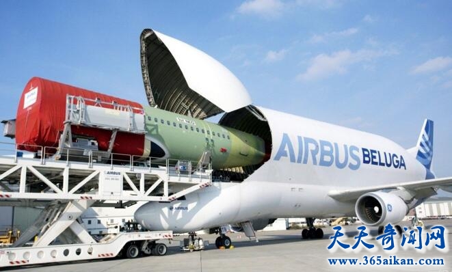 世界上最大的货运飞机，大白鲸超级运输机！