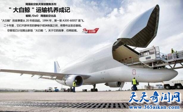 世界上最大的货运客机，大白鲸超级运输机！
