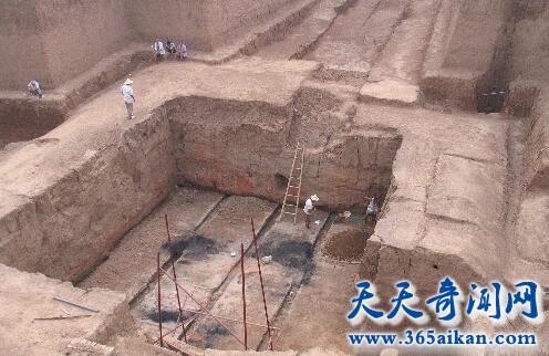 西安挖出秦始皇祖母墓，“天子驾六”再现人间！