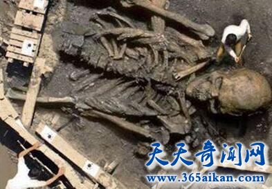 谣言终结者：巨人骸骨照片是真是假？