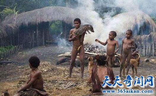 探索人类原始部落是怎样生活的？原始部落的奇特文化有哪些？