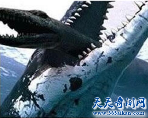史前第一可怕巨兽身份揭晓,不是霸王龙不是沧龙而是它