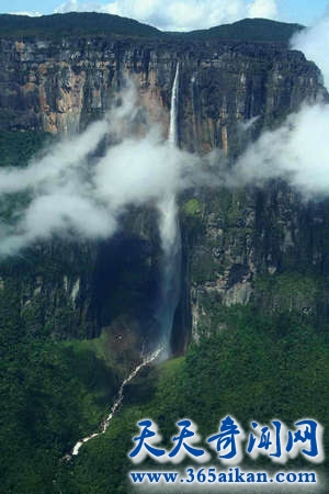 世界上最高的瀑布，高低落差近一千米看着都腿软