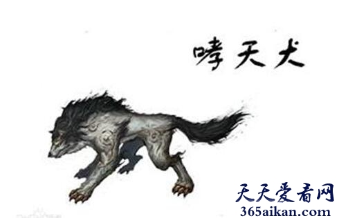 哮天犬是吉娃娃？二郎神的狗哮天犬的品种大探究