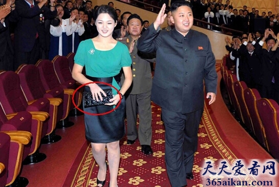 揭秘朝鲜独裁者的女人李雪主丑闻是怎么样的？
