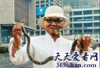 揭秘中国电竞选手pdd扔蛇门事件始末