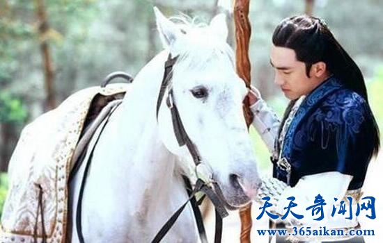 照夜玉狮子马4.jpg