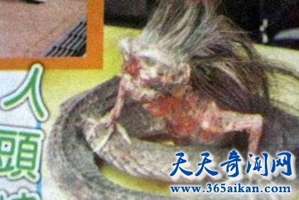 人头蛇身怪物1.jpg