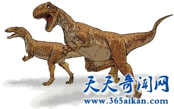 盘点常见恐龙的名字的由来是怎么样的？恐龙是如何被取名字的？