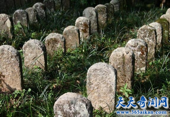 每60秒有107个人逝去1.jpg