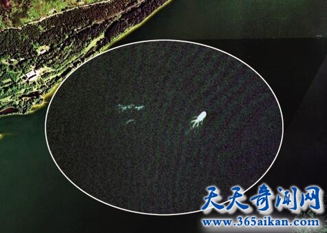 尼斯湖水怪10.jpg