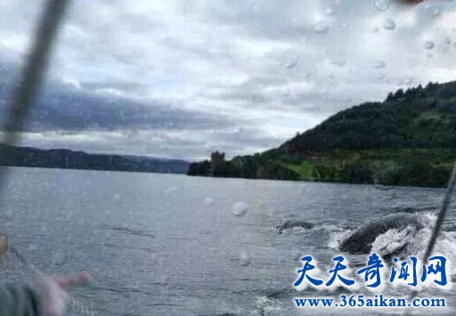 青海湖水怪1.jpg