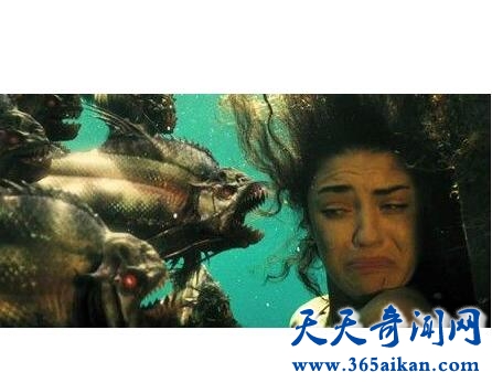 巨型水虎鱼1.jpg