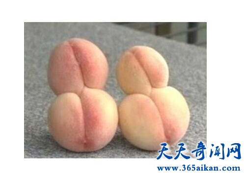 变异蔬菜1.jpg