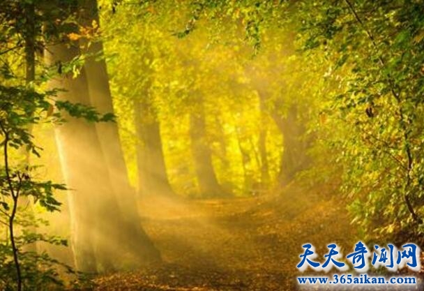 阳光1.jpg