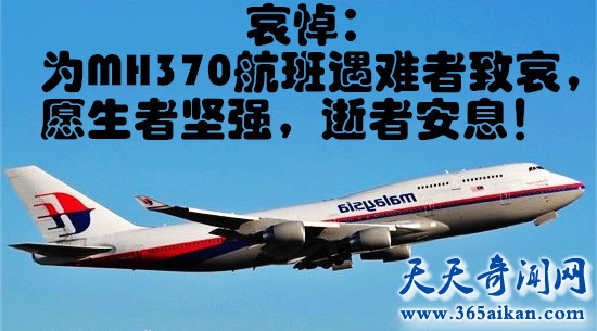 马航MH17坠机画面曝光，飞机残骸和尸体从天而降！