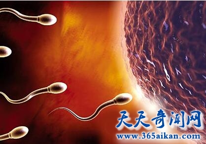 精子存活率63.jpg