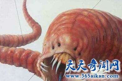 蒙古死亡之虫6.jpg