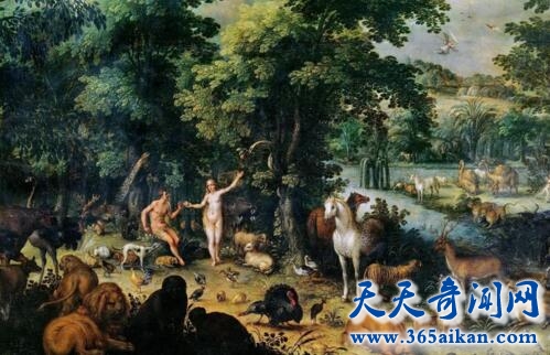 伊甸园1.jpg