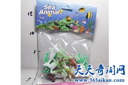 海洋生物球5.jpg