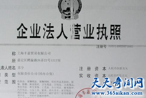 贸易公司5.jpg