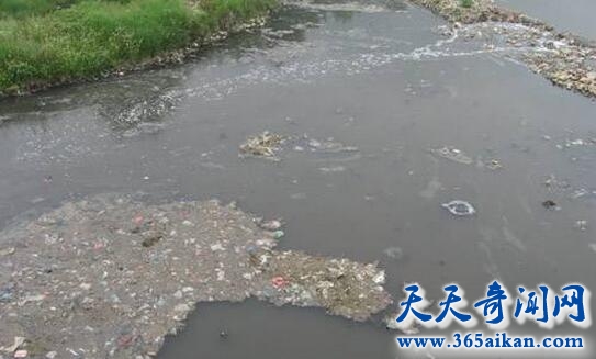 水体污染.jpg