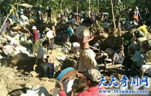 缅甸金矿1.jpg