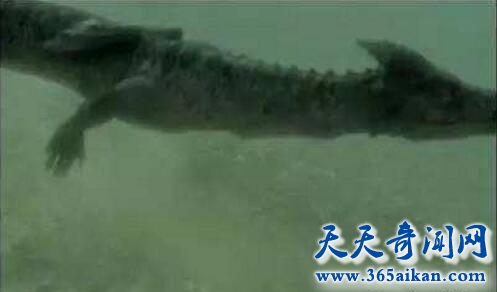 镜泊湖水怪1.jpg
