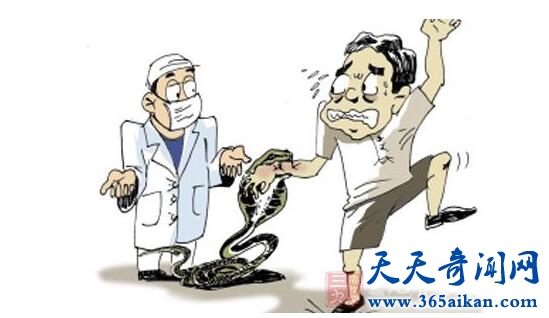 眼镜王蛇和眼镜蛇的区别有哪些？眼镜王蛇的天敌是谁？