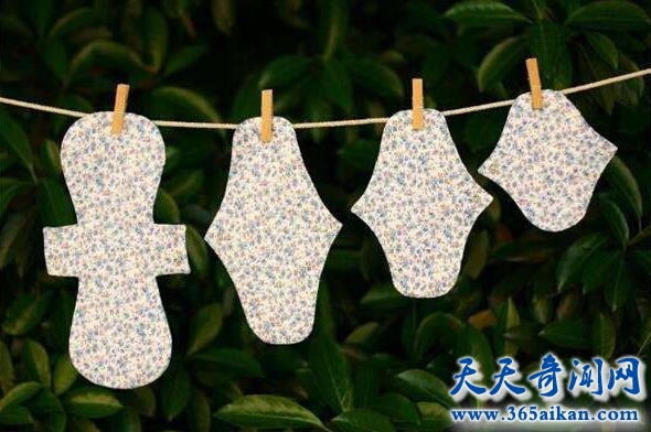 干草树叶1.jpg