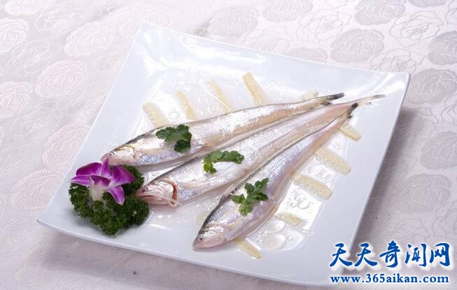 长江刀鱼3.jpg