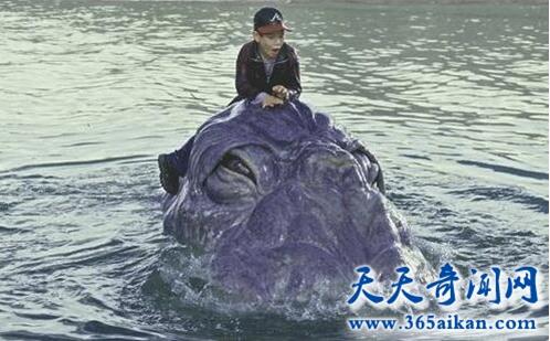 尼斯湖水怪