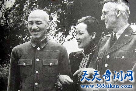 威尔基.jpg