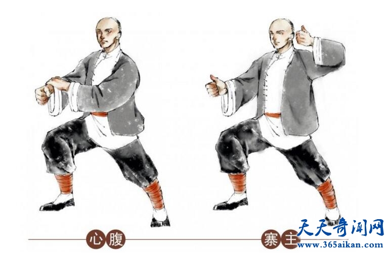 心腹、寨主.jpg
