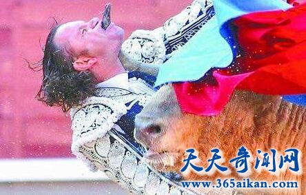 西班牙斗牛士朱利奥·阿帕里西奥惨遭垂死公牛刺穿咽喉后竟奇迹生还!