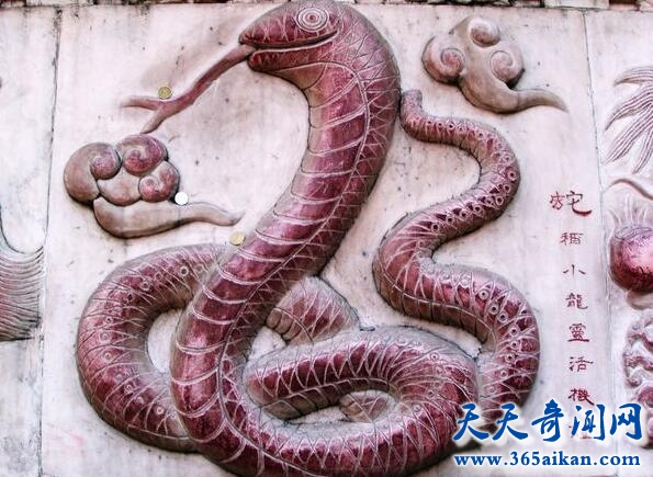 中国流传于民间关于蛇的传说有哪些?民间关于蛇的传说故事介绍