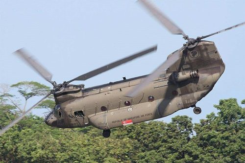 CH-42型“奇努克”(支奴干)直升机.jpg