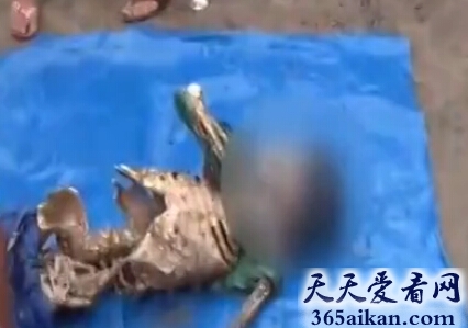 惊悚恐怖的食人鱼事件，秘鲁11岁男孩被啃食成骷髅！