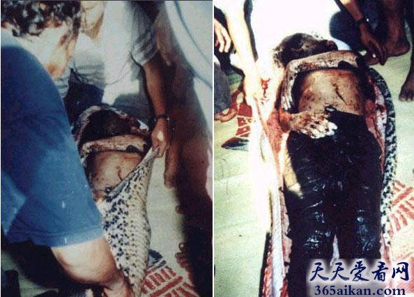 世界上最惨绝人寰的事故，巨蛇吃人之山村农妇被活吞！