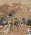 四川南充僵尸事件 文物局科研人员神秘失踪（焚烧尸体后）