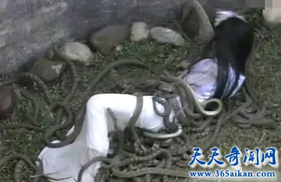 纣王的暴行