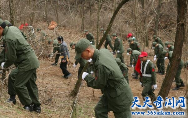 全程揭秘韩国青蛙少年失踪事件，为什么二十多年来还找不到？